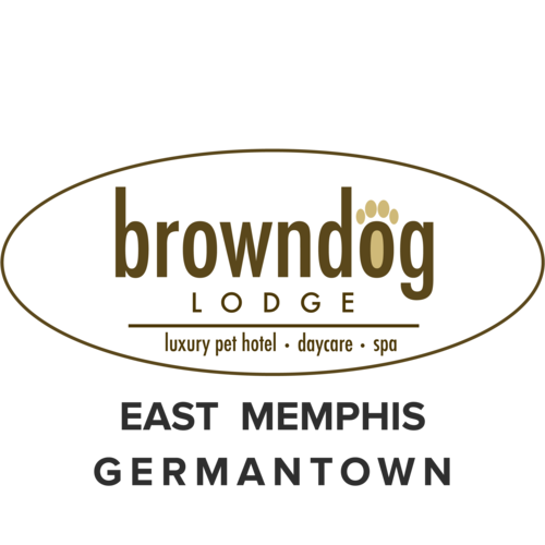 Browndog lodge logo