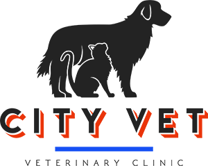 City Vet Veterinary Clinic