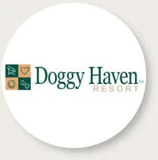 Doggy Haven