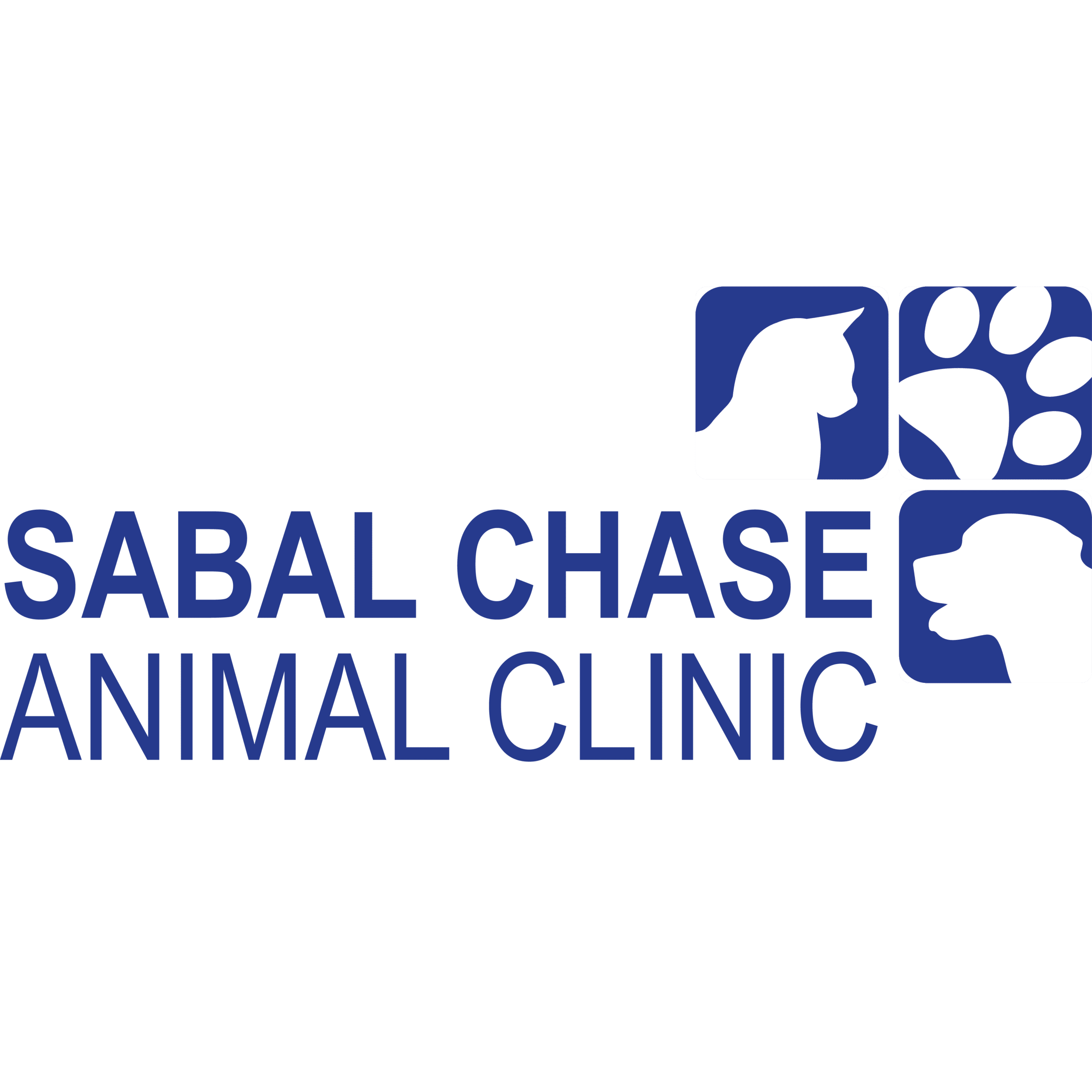 Sabal Chase AC logo